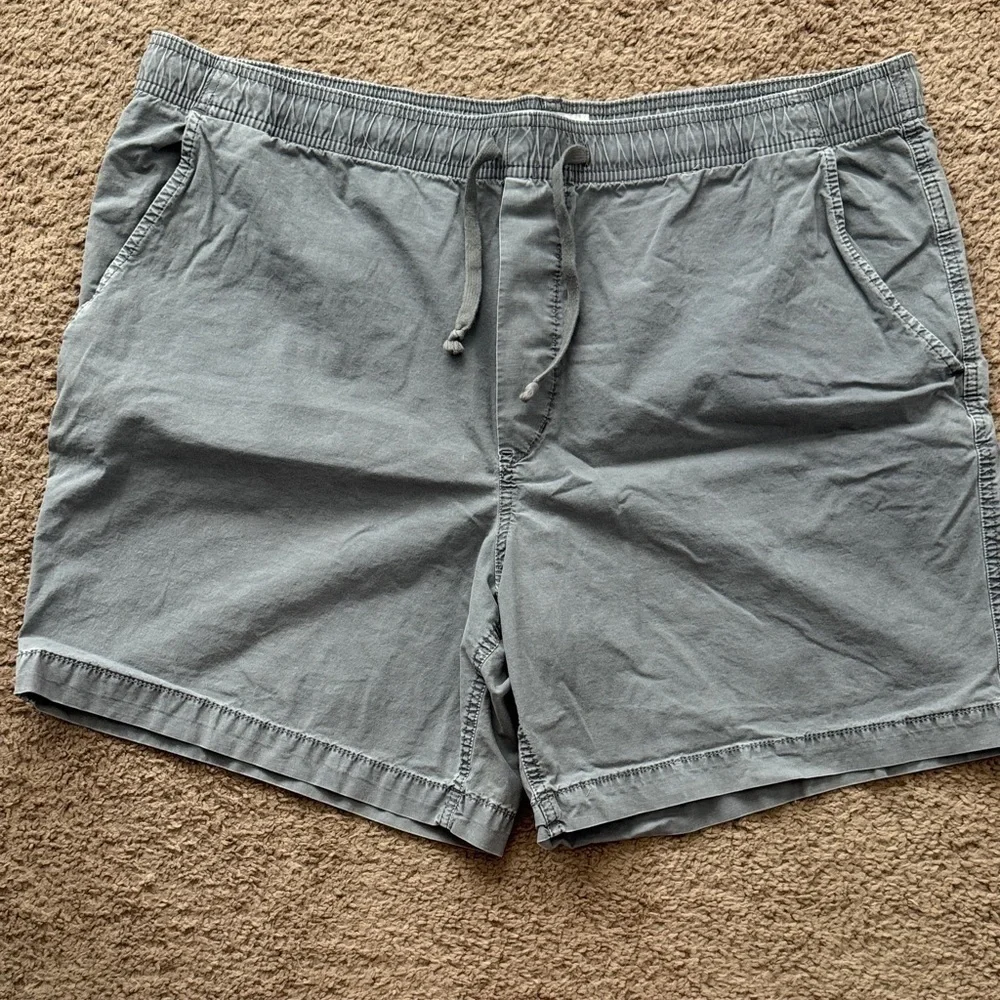 American Eagle Outfitters Men's Charcoal Flat Front Shorts